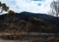 Columnas de humo sobre el bosque en llamas en la región de Gironda, Francia, durante los incendios forestales de 2026.