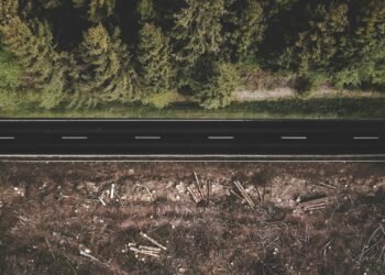 ¿Hay conexión entre la deforestación tropical y el clima en las ciudades?