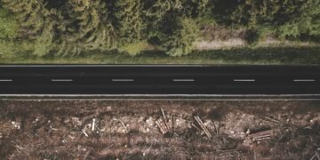 ¿Hay conexión entre la deforestación tropical y el clima en las ciudades?
