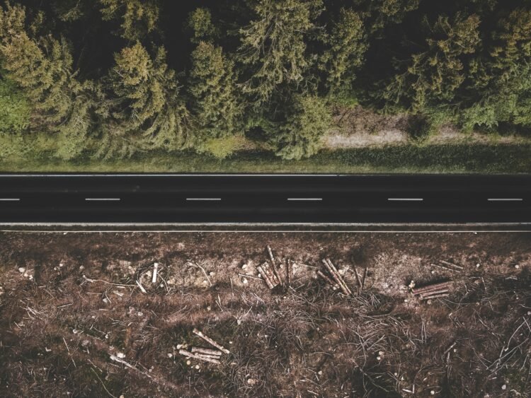 ¿Hay conexión entre la deforestación tropical y el clima en las ciudades?