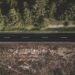 ¿Hay conexión entre la deforestación tropical y el clima en las ciudades?