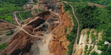 La minería ilegal de oro en la Amazonía brasileña arrasa tierras indígenas