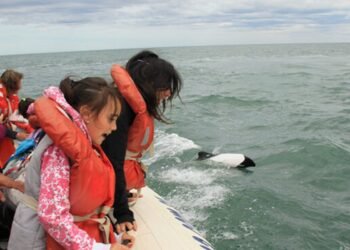 De la nieve a la costa: Chubut despliega su oferta turística para el fin de semana largo