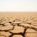 Tierra agrietada por sequía extrema y ola de calor, evidencia del impacto del calor extremo en los ecosistemas.