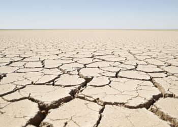 Tierra agrietada por sequía extrema, evidencia visual del calentamiento global acelerado desde 2015.