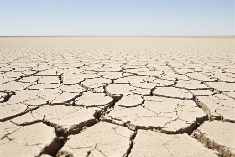 Tierra agrietada por sequía extrema, evidencia visual del calentamiento global acelerado desde 2015.