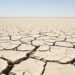 Tierra agrietada por sequía extrema, evidencia visual del calentamiento global acelerado desde 2015.