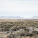 Paisaje del yacimiento Vaca Muerta en la Patagonia argentina, epicentro de la disputa geopolítica entre EEUU y China.