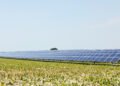 Paneles solares instalados sobre hileras de cultivos en un campo agrícola bajo luz diurna