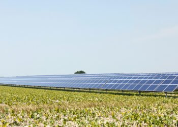 Paneles solares instalados sobre hileras de cultivos en un campo agrícola bajo luz diurna