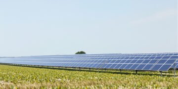 Paneles solares instalados sobre hileras de cultivos en un campo agrícola bajo luz diurna