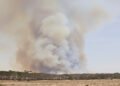 Humo denso se levanta sobre un bosque australiano durante un incendio forestal.