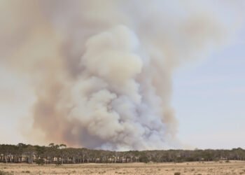 Humo denso se levanta sobre un bosque australiano durante un incendio forestal.