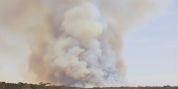 Humo denso se levanta sobre un bosque australiano durante un incendio forestal.