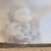 Humo denso se levanta sobre un bosque australiano durante un incendio forestal.