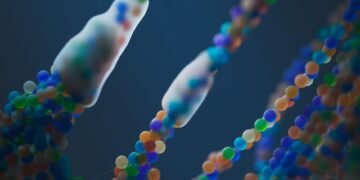Bacterias marinas bajo microscopio, similares a Alteromonas macleodii modificada por Harvard para capturar CO2.