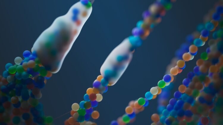 Bacterias marinas bajo microscopio, similares a Alteromonas macleodii modificada por Harvard para capturar CO2.