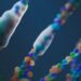 Bacterias marinas bajo microscopio, similares a Alteromonas macleodii modificada por Harvard para capturar CO2.