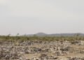 Vista aérea del bosque seco chiquitano en Bolivia, ecosistema amenazado por la expansión agrícola.