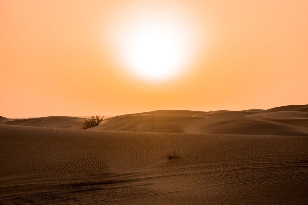 Paisaje árido de dunas de arena en proceso de restauración ecológica en zonas desérticas de Asia.