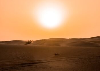 Paisaje árido de dunas de arena en proceso de restauración ecológica en zonas desérticas de Asia.