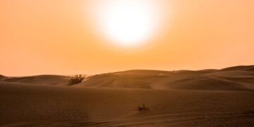 Paisaje árido de dunas de arena en proceso de restauración ecológica en zonas desérticas de Asia.