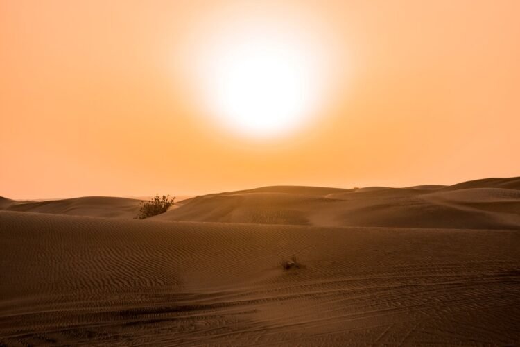 Paisaje árido de dunas de arena en proceso de restauración ecológica en zonas desérticas de Asia.