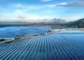 Paneles solares en un parque industrial asiático, imagen representativa de la descarbonización industrial china.