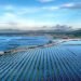 Paneles solares en un parque industrial asiático, imagen representativa de la descarbonización industrial china.