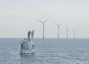 Turbinas eólicas offshore en el mar, donde miles de trabajadores estadounidenses perdieron sus empleos tras cancelaciones mas