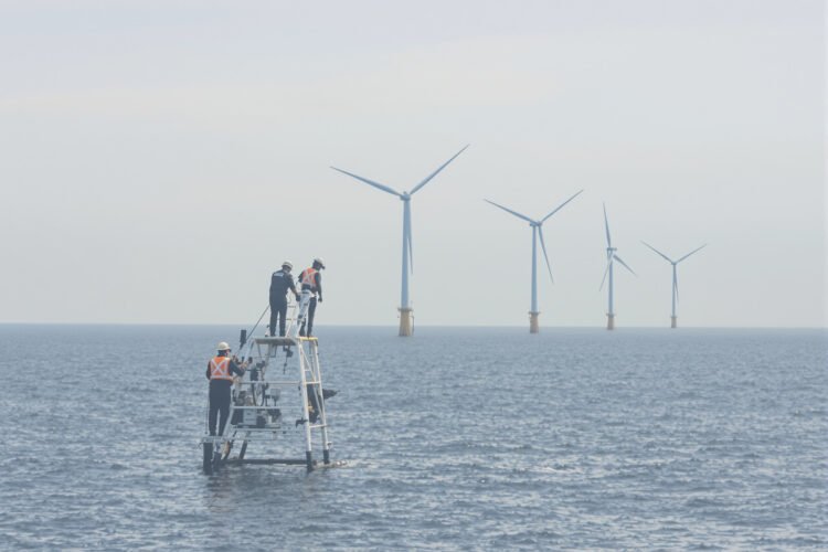 Turbinas eólicas offshore en el mar, donde miles de trabajadores estadounidenses perdieron sus empleos tras cancelaciones mas
