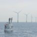 Turbinas eólicas offshore en el mar, donde miles de trabajadores estadounidenses perdieron sus empleos tras cancelaciones mas