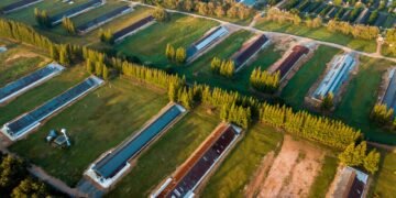 Vista aérea de una granja porcina industrial con lagunas de residuos en Carolina del Norte.