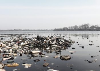 Residuos y desechos en un tramo de río inglés afectado por contaminación química persistente.