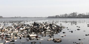 Residuos y desechos en un tramo de río inglés afectado por contaminación química persistente.