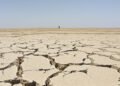Tierra agrietada por sequía extrema, fenómeno que afecta a 2.300 millones de personas en el mundo.