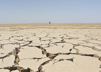 Tierra agrietada por sequía extrema, fenómeno que afecta a 2.300 millones de personas en el mundo.