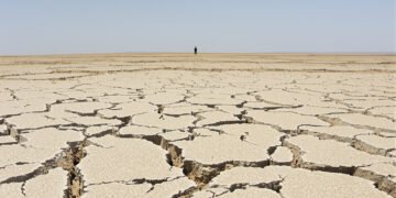 Tierra agrietada por sequía extrema, fenómeno que afecta a 2.300 millones de personas en el mundo.