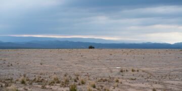 Tierra agrietada por sequía extrema, uno de los fenómenos que la COP17 contra la desertificación debía enfrentar.