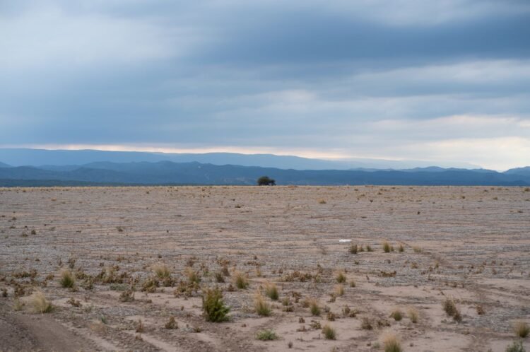 Tierra agrietada por sequía extrema, uno de los fenómenos que la COP17 contra la desertificación debía enfrentar.