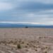 Tierra agrietada por sequía extrema, uno de los fenómenos que la COP17 contra la desertificación debía enfrentar.
