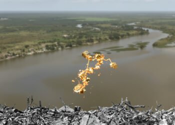 Minería ilegal de oro en la Amazonía brasileña, donde la corrupción en la ANM permitió el blanqueo de toneladas de metal.