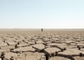 Tierra agrietada por sequía en el campo francés durante una ola de calor extrema.