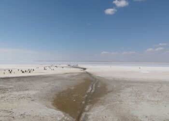 Lecho seco de embalse con tierra agrietada, imagen representativa de la sequía en cuencas hídricas del oeste de Estados Unido