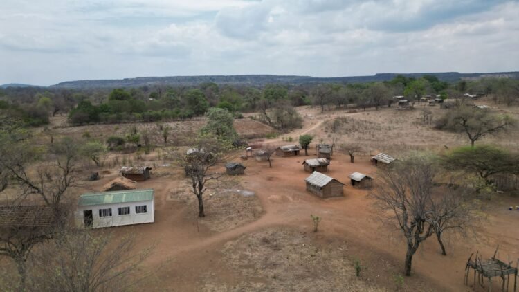 Suelo agrícola reseco y agrietado en Malaui, símbolo de la crisis de tierra que atrapa a millones de agricultores.
