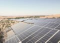 Paneles solares instalados sobre campo de cultivo en zona desértica, con plantas creciendo bajo la sombra fotovoltaica.