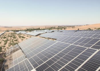 Paneles solares instalados sobre campo de cultivo en zona desértica, con plantas creciendo bajo la sombra fotovoltaica.
