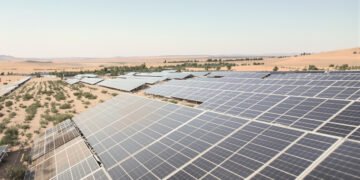 Paneles solares instalados sobre campo de cultivo en zona desértica, con plantas creciendo bajo la sombra fotovoltaica.