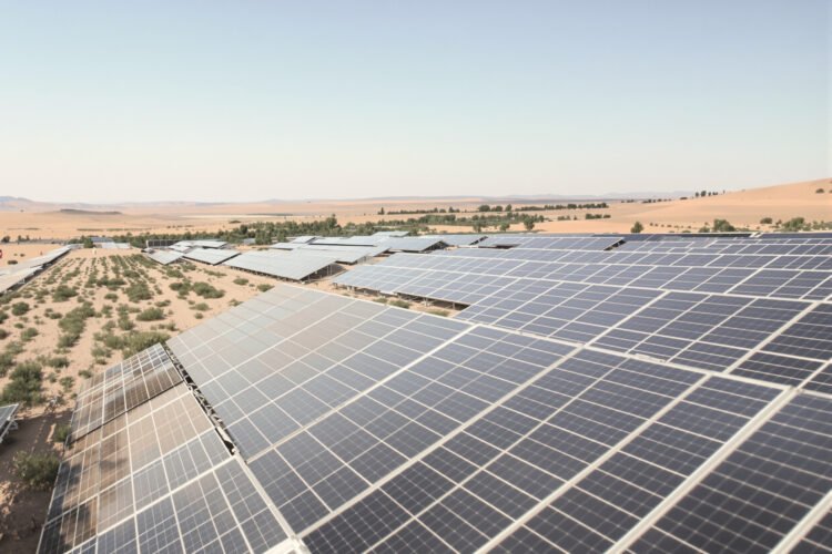 Paneles solares instalados sobre campo de cultivo en zona desértica, con plantas creciendo bajo la sombra fotovoltaica.