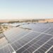 Paneles solares instalados sobre campo de cultivo en zona desértica, con plantas creciendo bajo la sombra fotovoltaica.